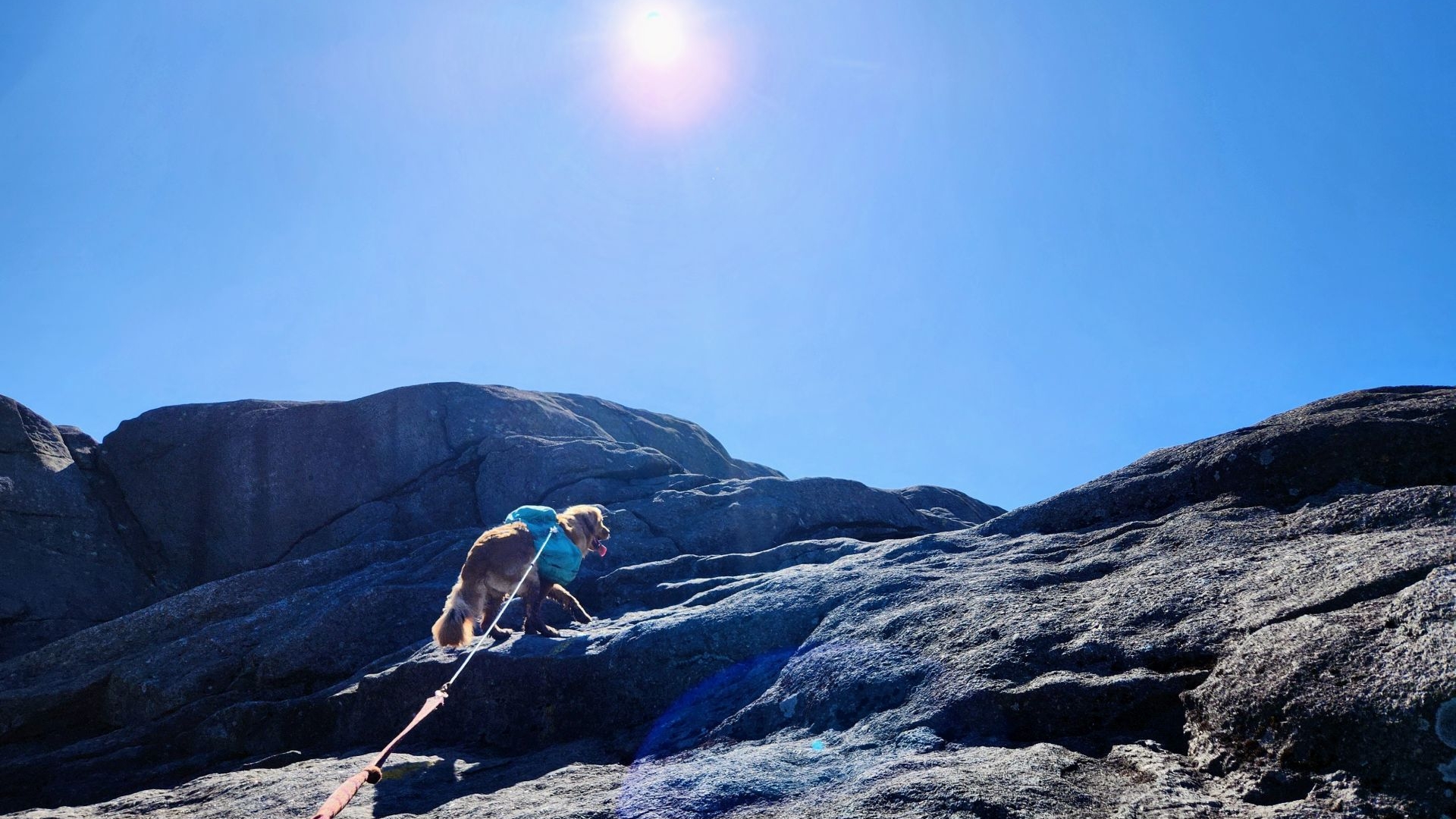 Sunny about to summit Ampersand