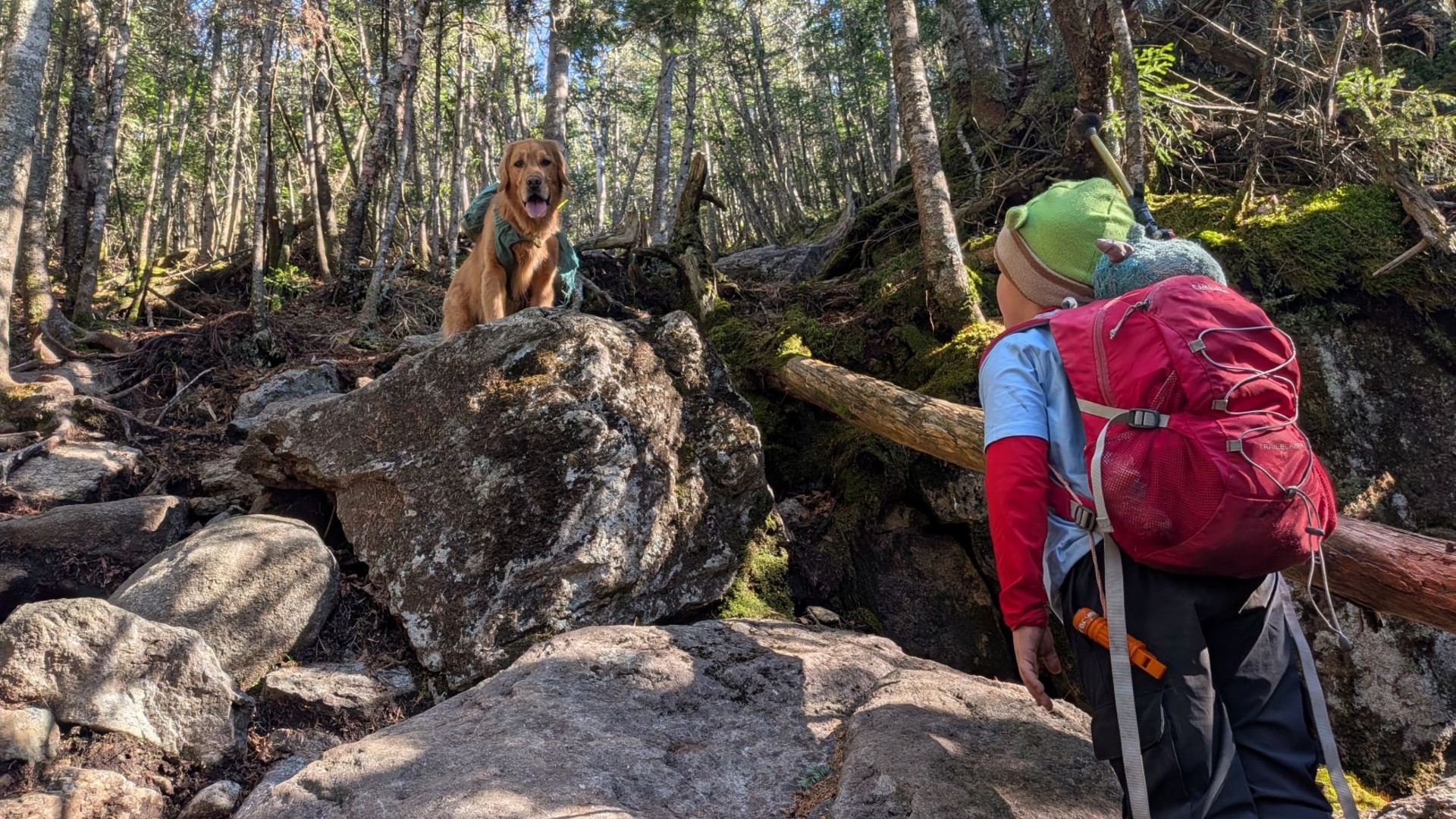 Quinn looking up at sunny who is standing on a boulder during the phelps climb.