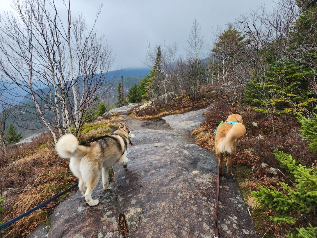 Korra and Sunny hike side by side across an exposed rock ledge on the Brothers.