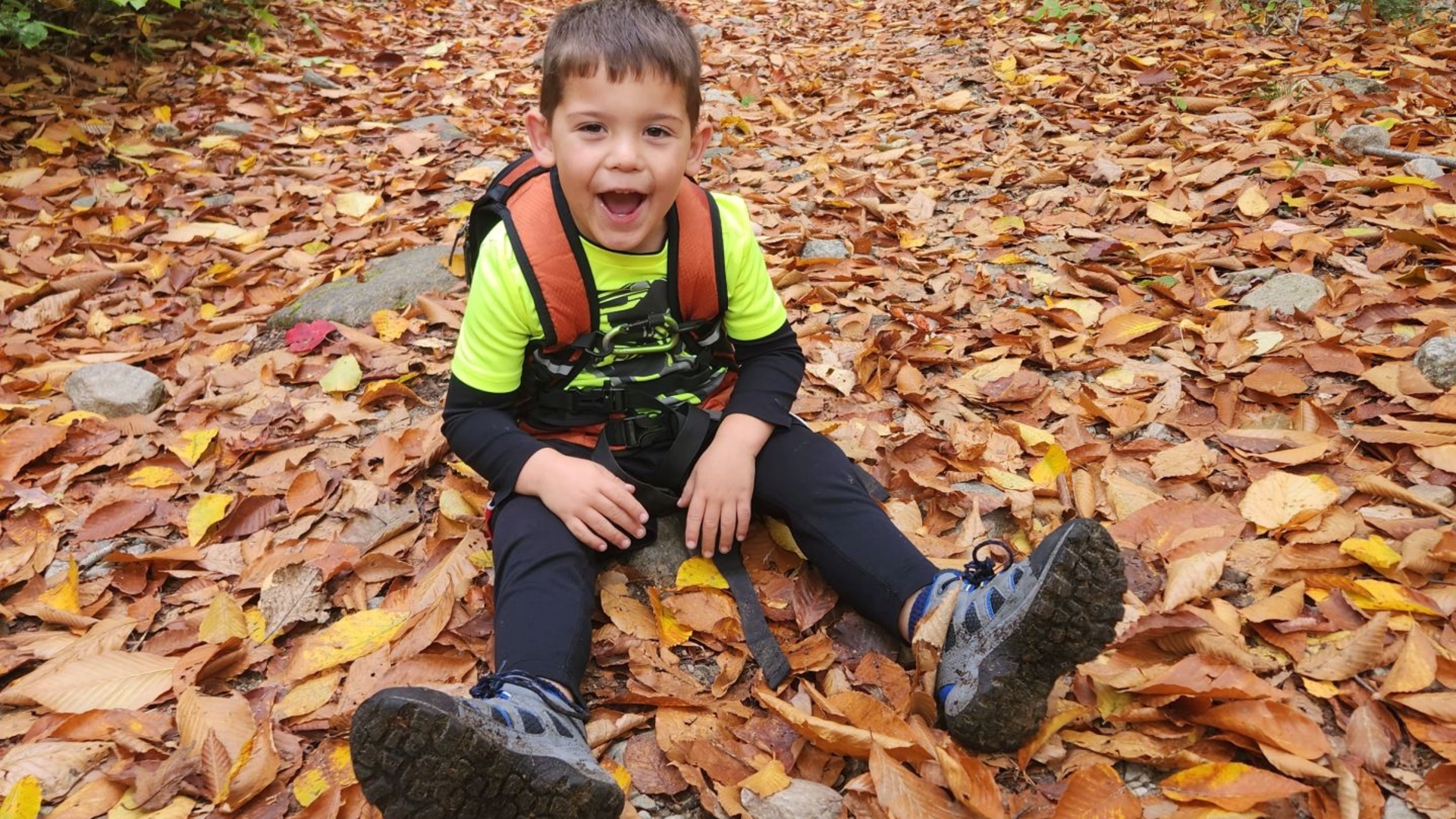 quinn in the leaves on trail