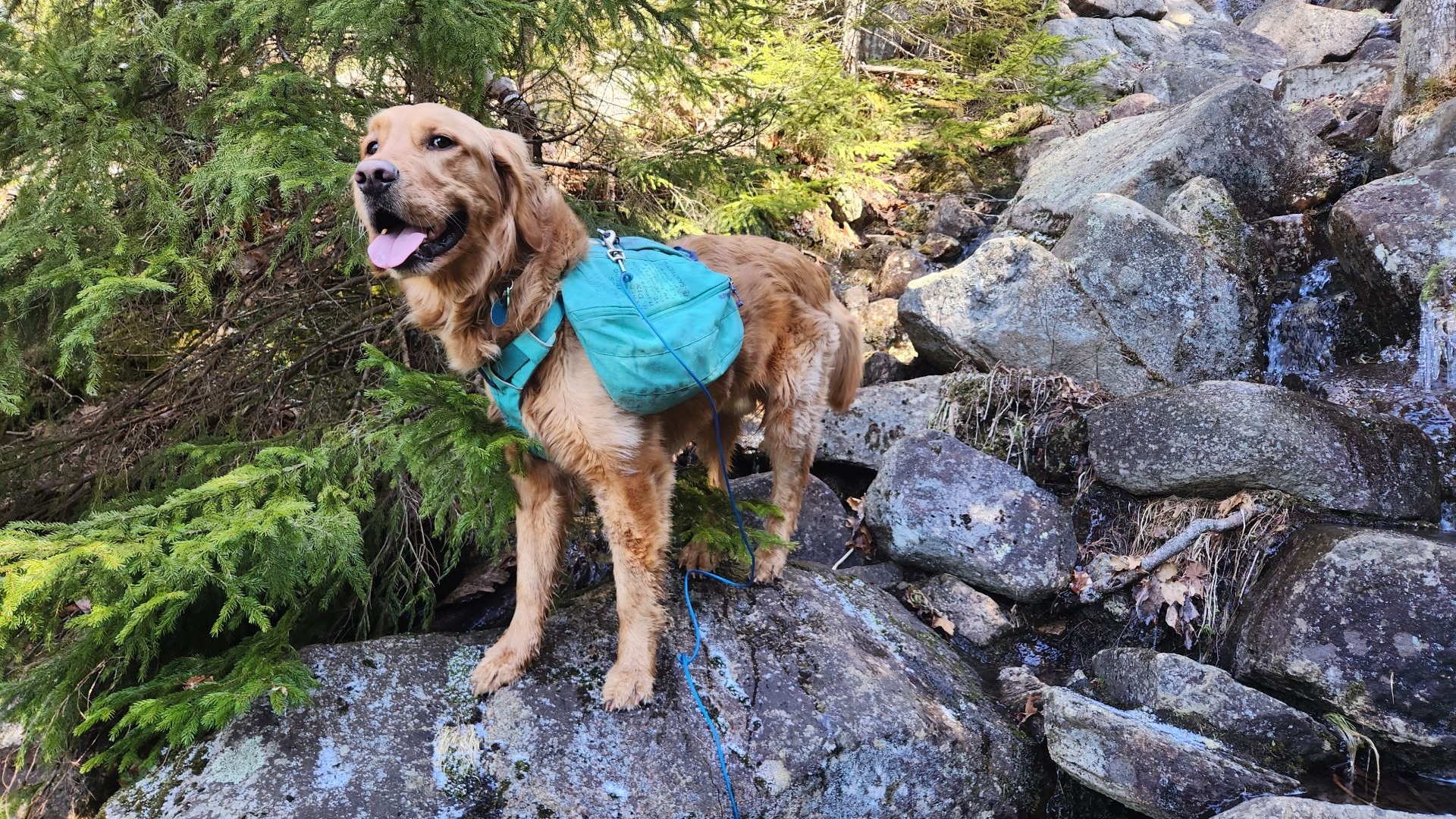 Sunny on the climb