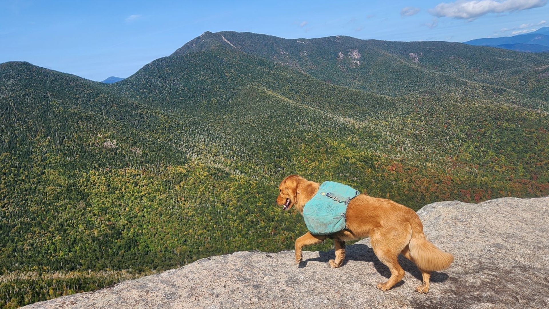 sunny at grace peak