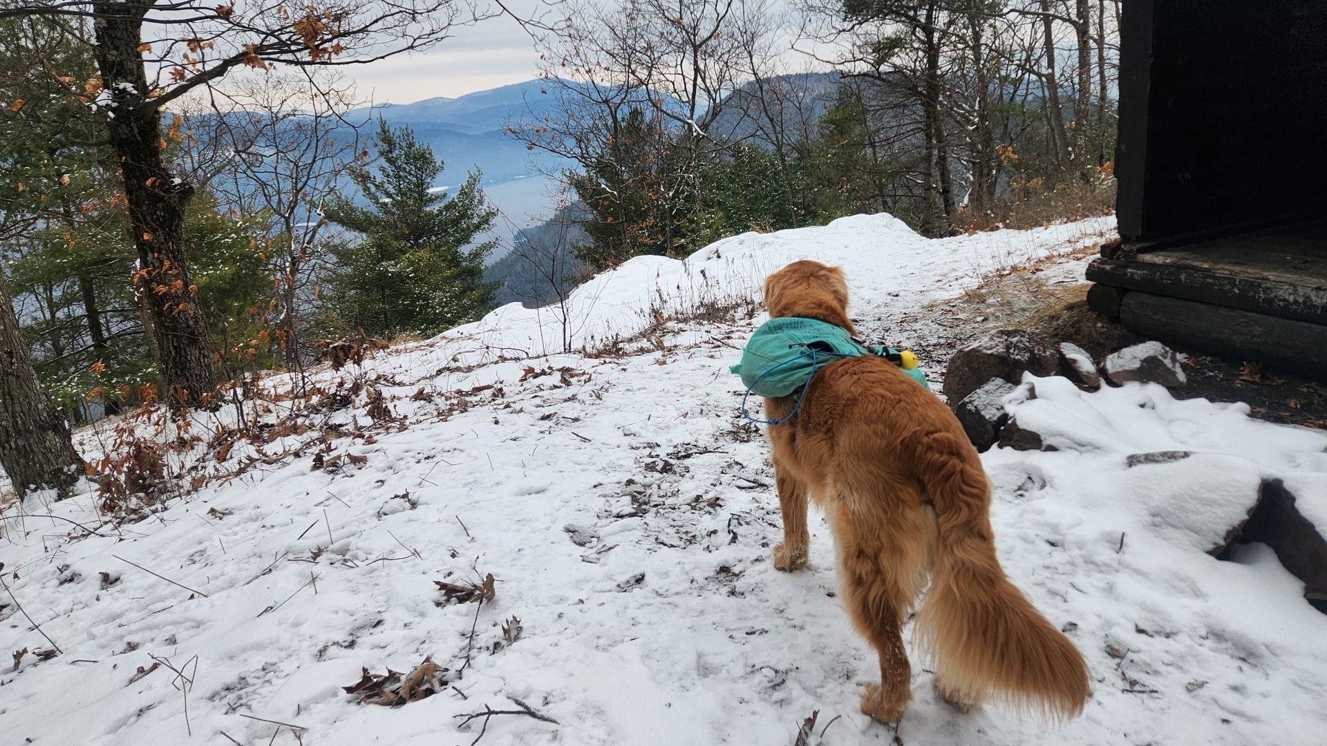 sunny at fifth peak
