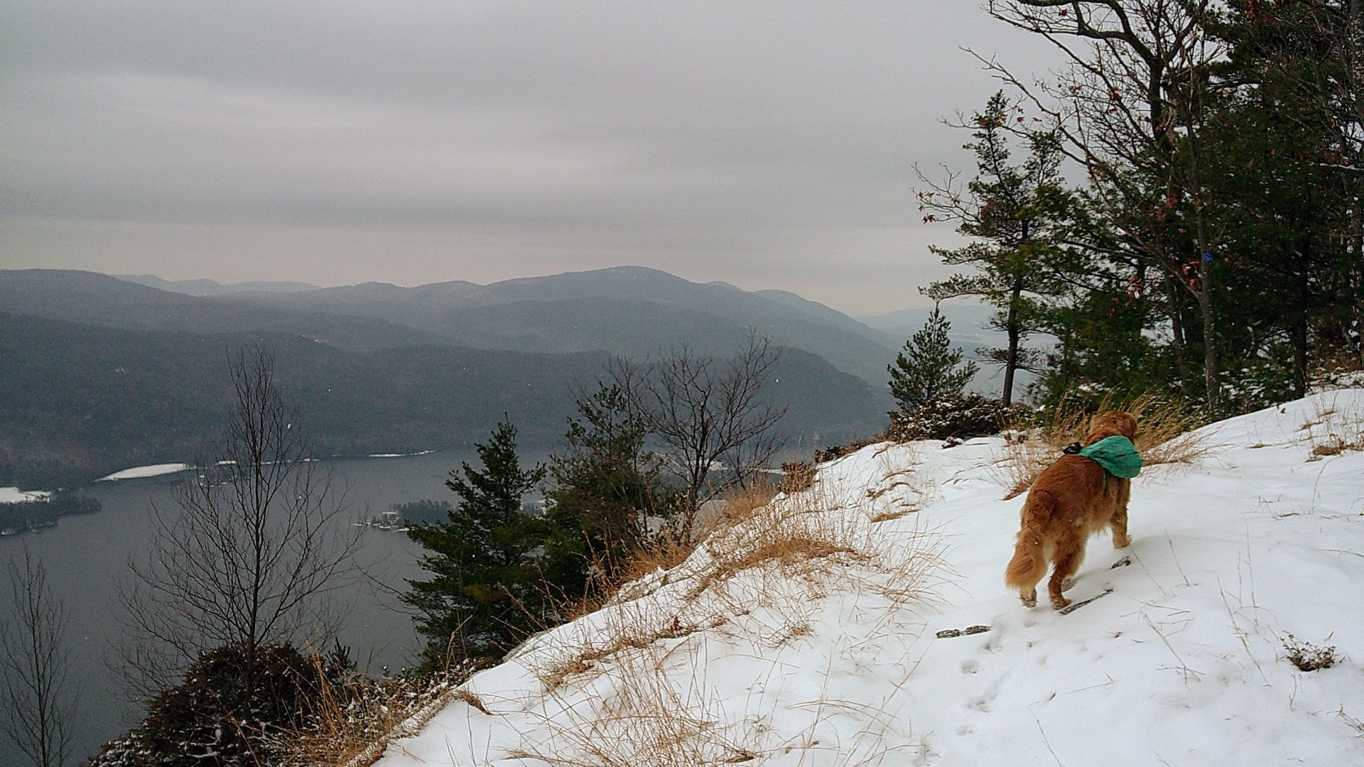 Hazy view Southeast from the Tongue Range