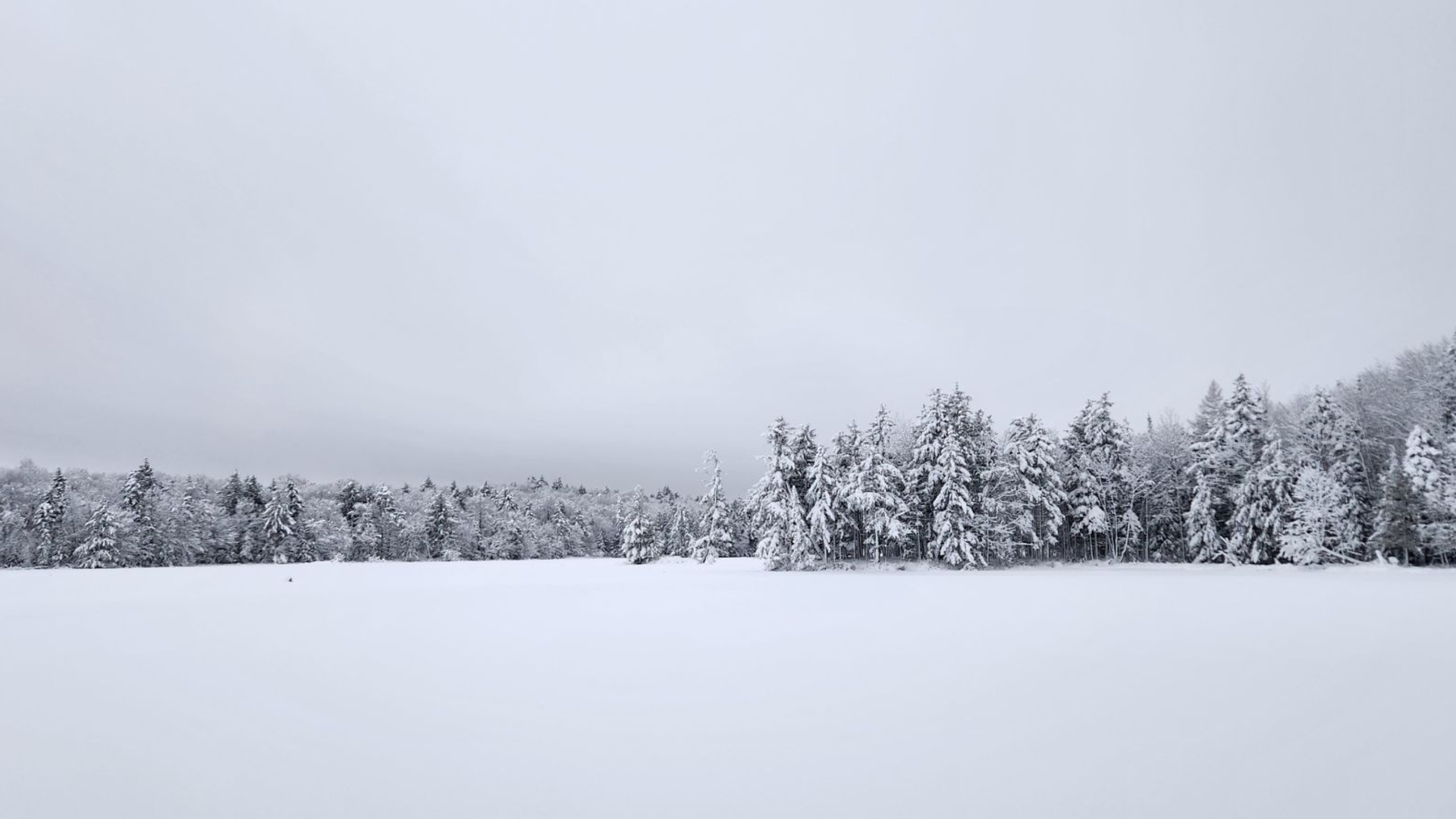 cranberry lake