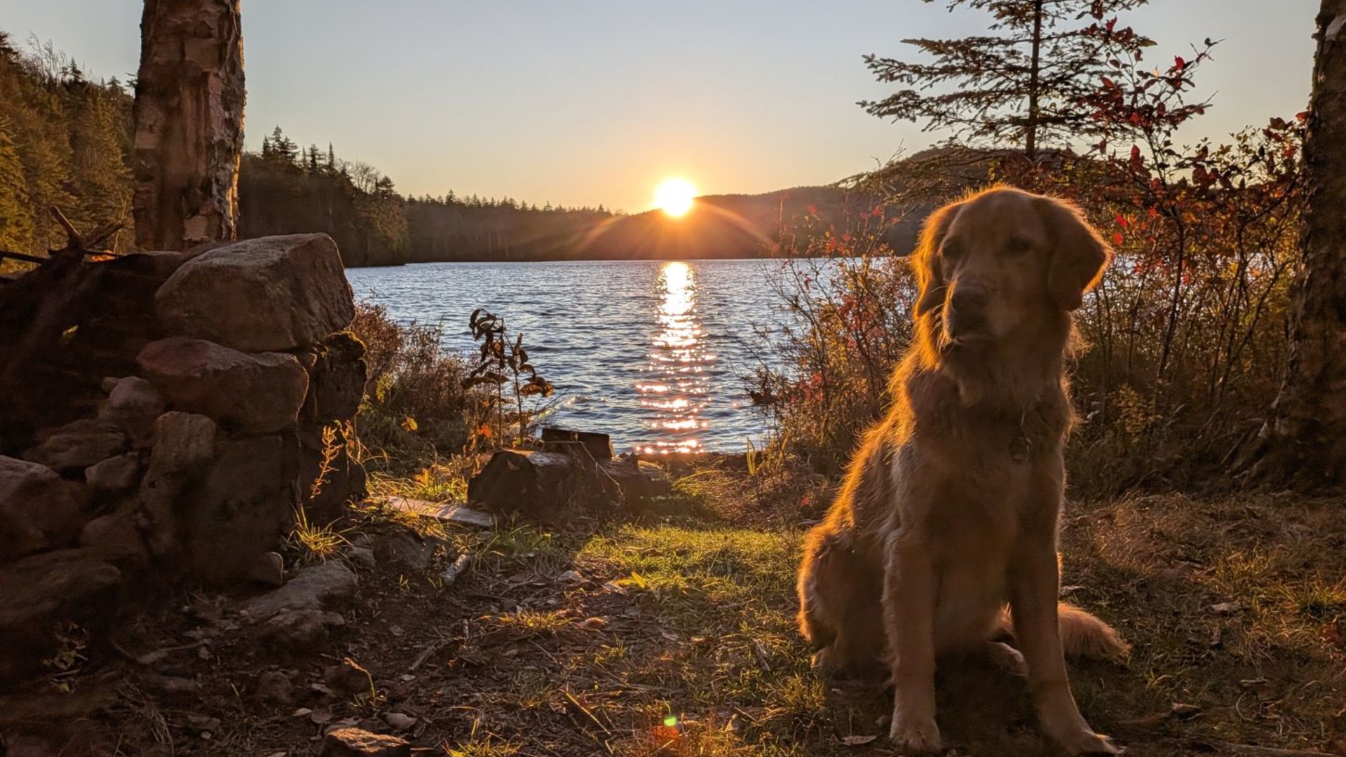 Sunny at Sunset  at  West Lake