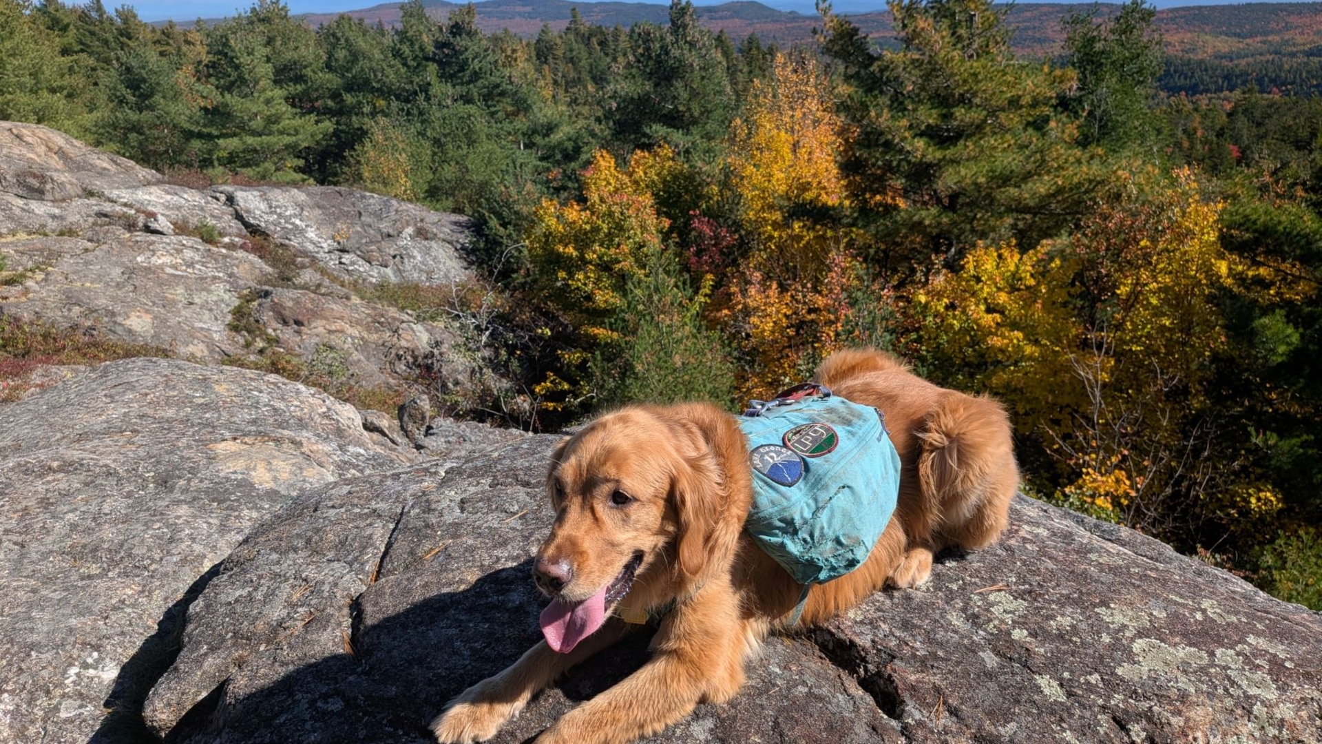 Sunny on Treadway mountain summit in autumn.