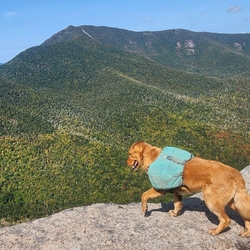 sunny at grace peak