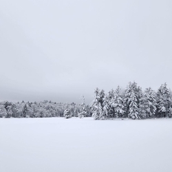 cranberry lake