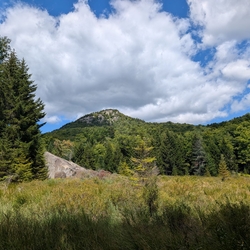 The view of Peaked Mountain summit from a  nearby marsh.