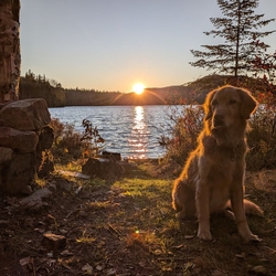 Sunny at Sunset  at  West Lake