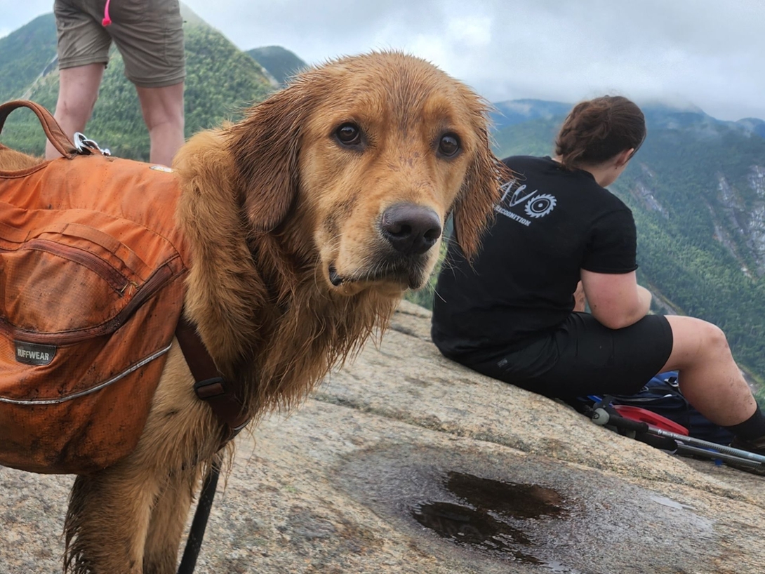 Sunny stands beside fellow hikers at the rocky Armstrong Mountain viewpoint.