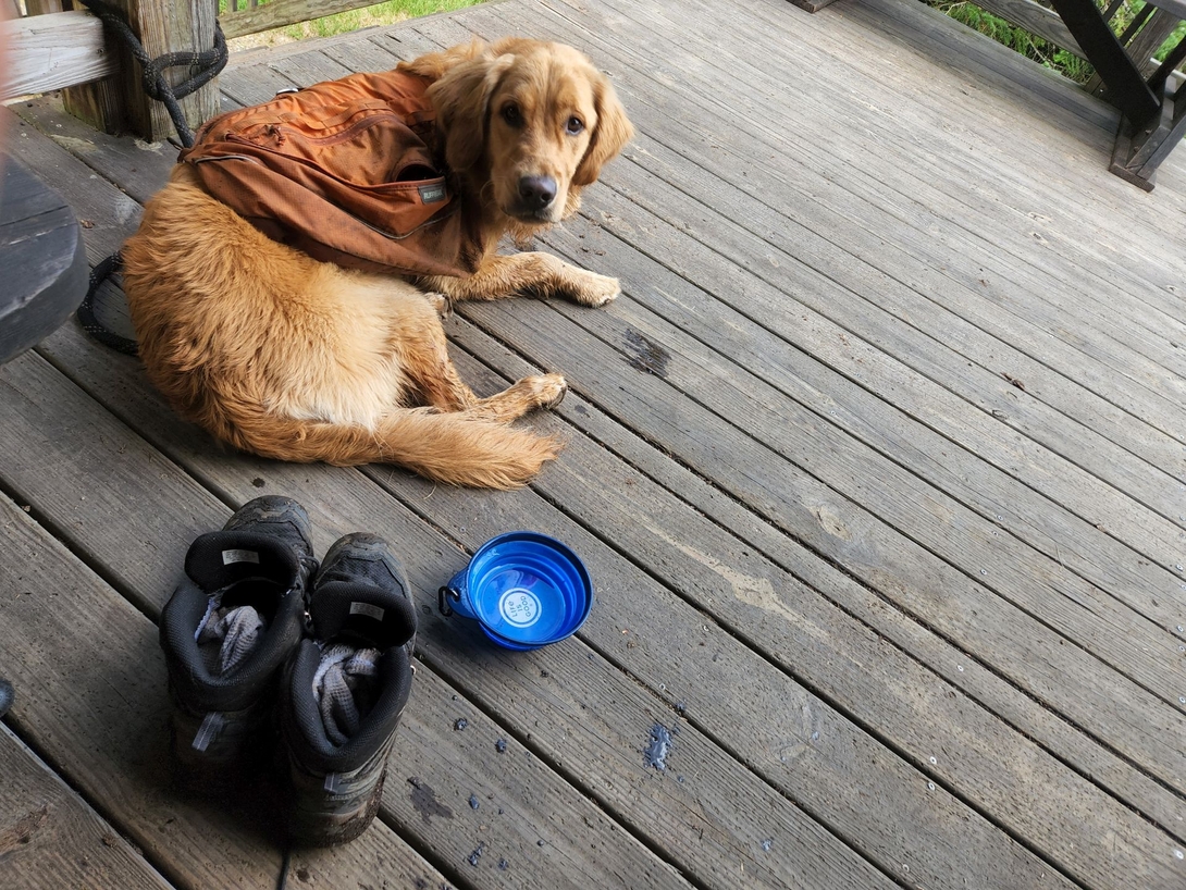 Sunny rests on the Johns Brook Lodge deck beside Adam’s shoes and his water bowl.