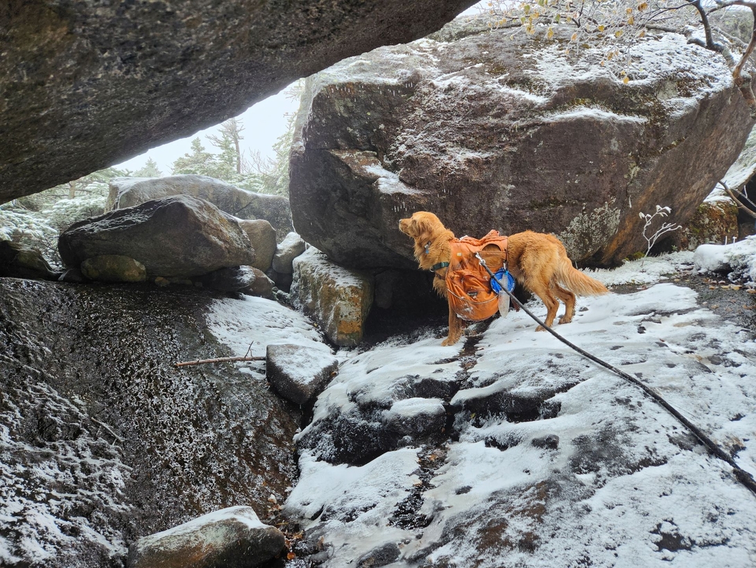Sunny stands beneath the massive, snow-dusted boulder tunnel near Mount Colden’s summit.