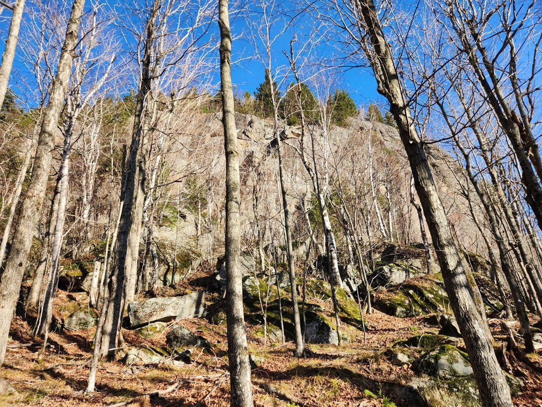 A steep rock face on Pitchoff Mountain rises above the forested valley ridge.