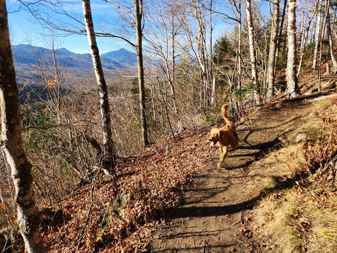 Sunny walks along the sunlit mountainside trail with Adirondack peaks visible through the trees.