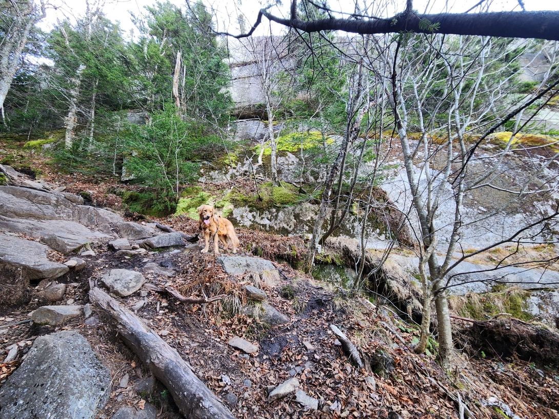 Sunny waits above Adam and Chris on a steep path beneath massive moss-covered rocks.