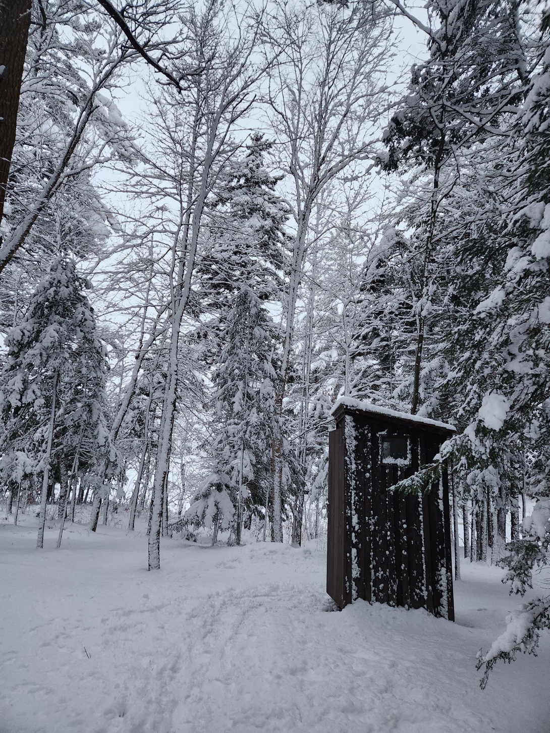 A small wooden outhouse stands beneath snow-laden trees near the Cranberry Lake campsite.