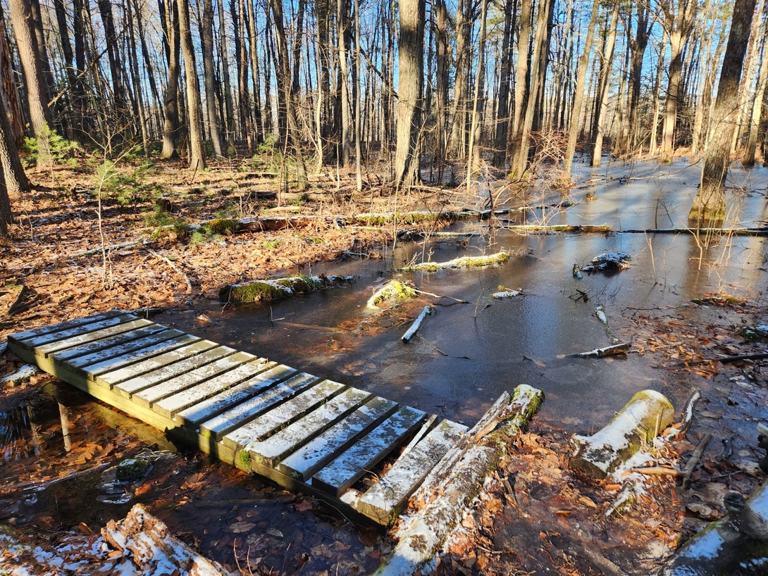 bridge over muddy waters