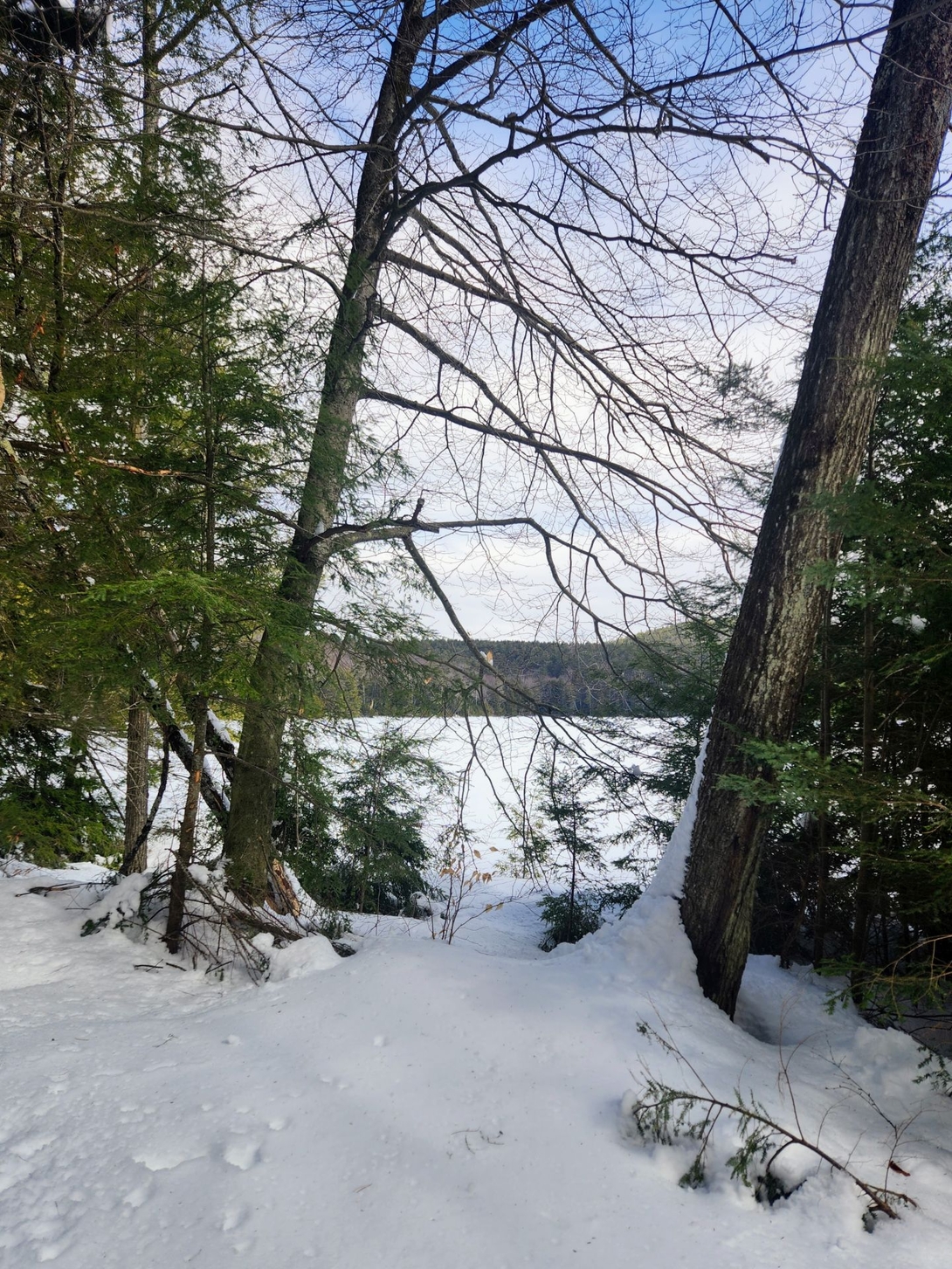 The snowy trail enters the woods beside frozen Edgecomb Pond.