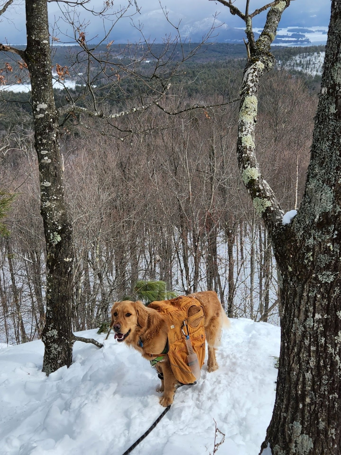 Sunny poses on the snowy descent with Lake George visible through the trees.