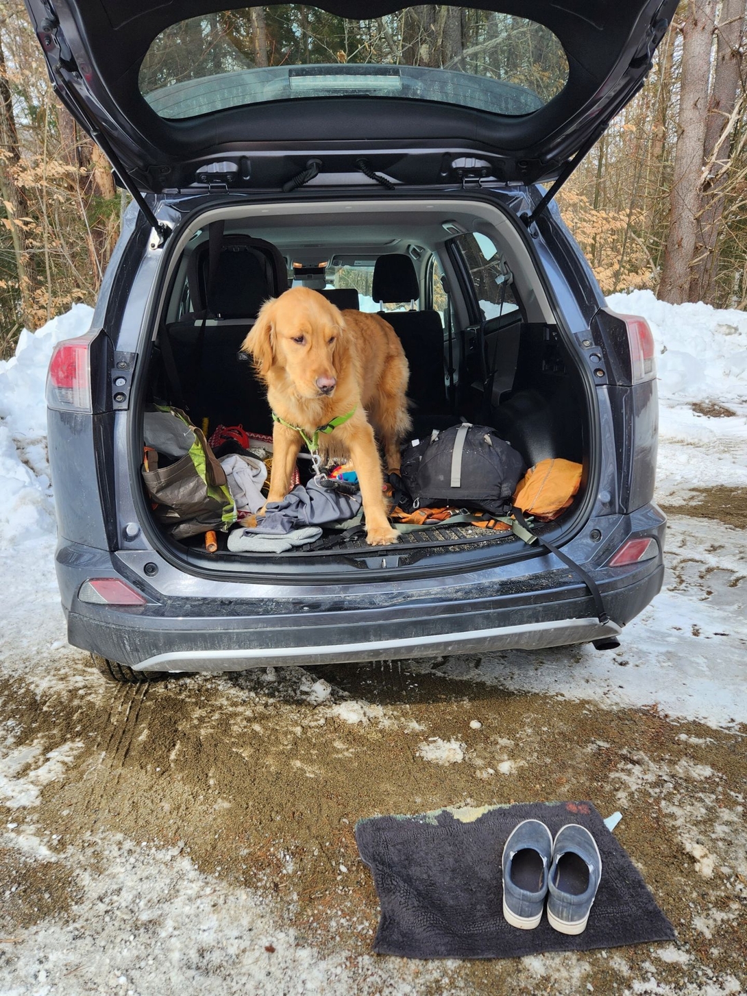 Sunny waits in the open car while hiking shoes rest on an old bathroom rug.