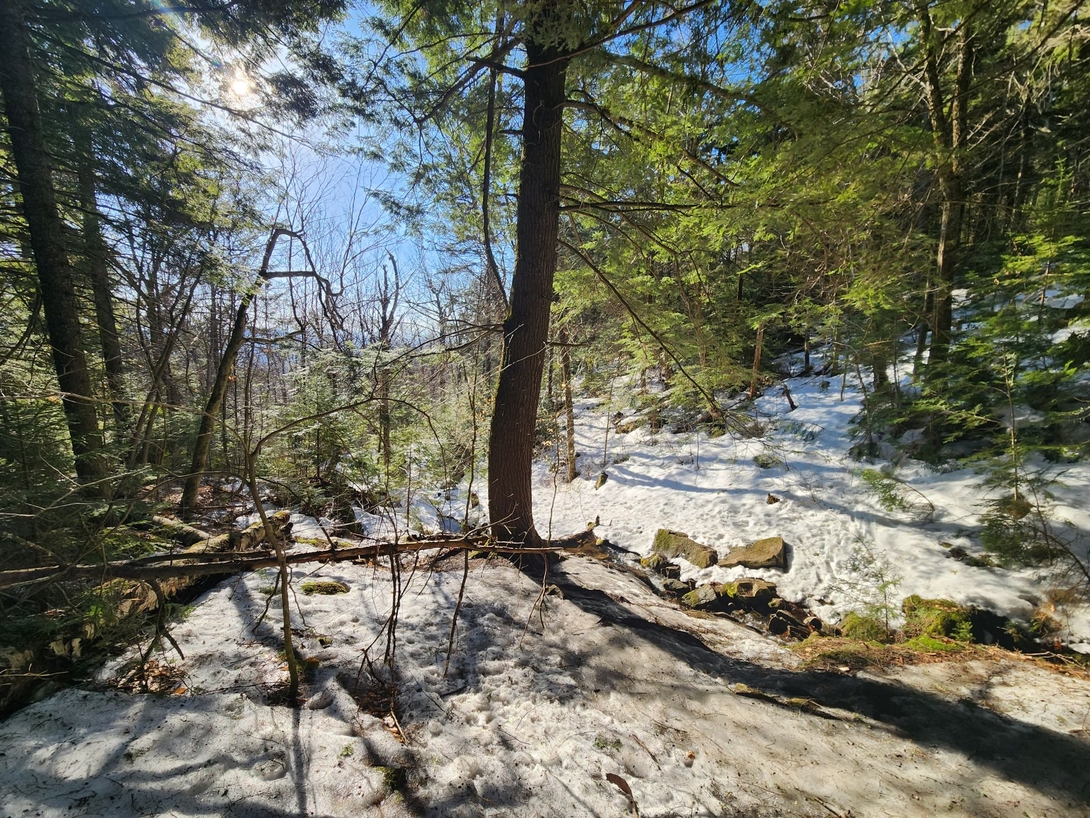 Sunlight falls across the steep, icy trail through the evergreens.