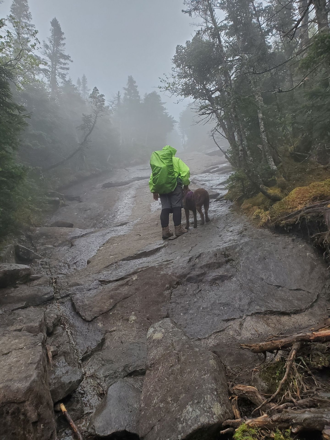 climbing slides in the mist