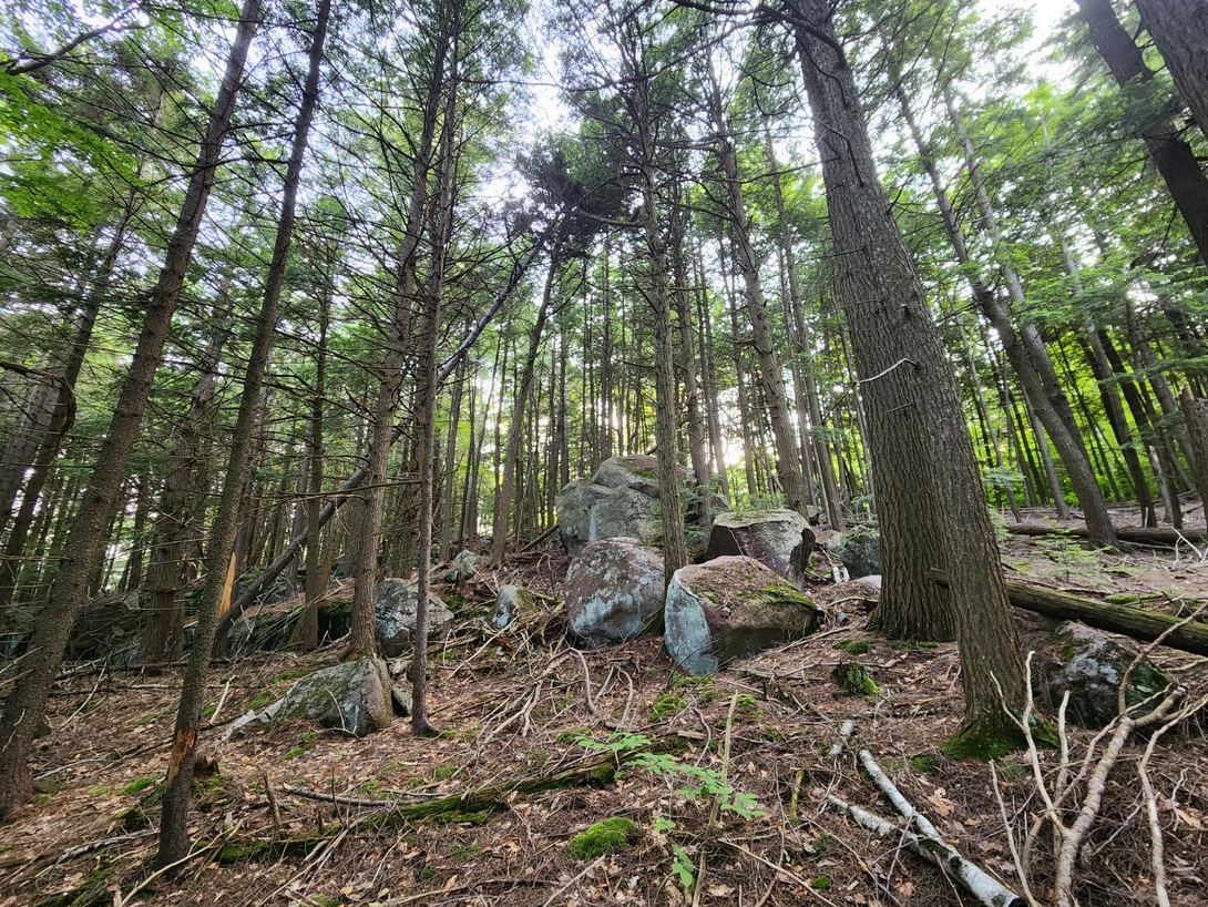 Exploring Abe's Hill