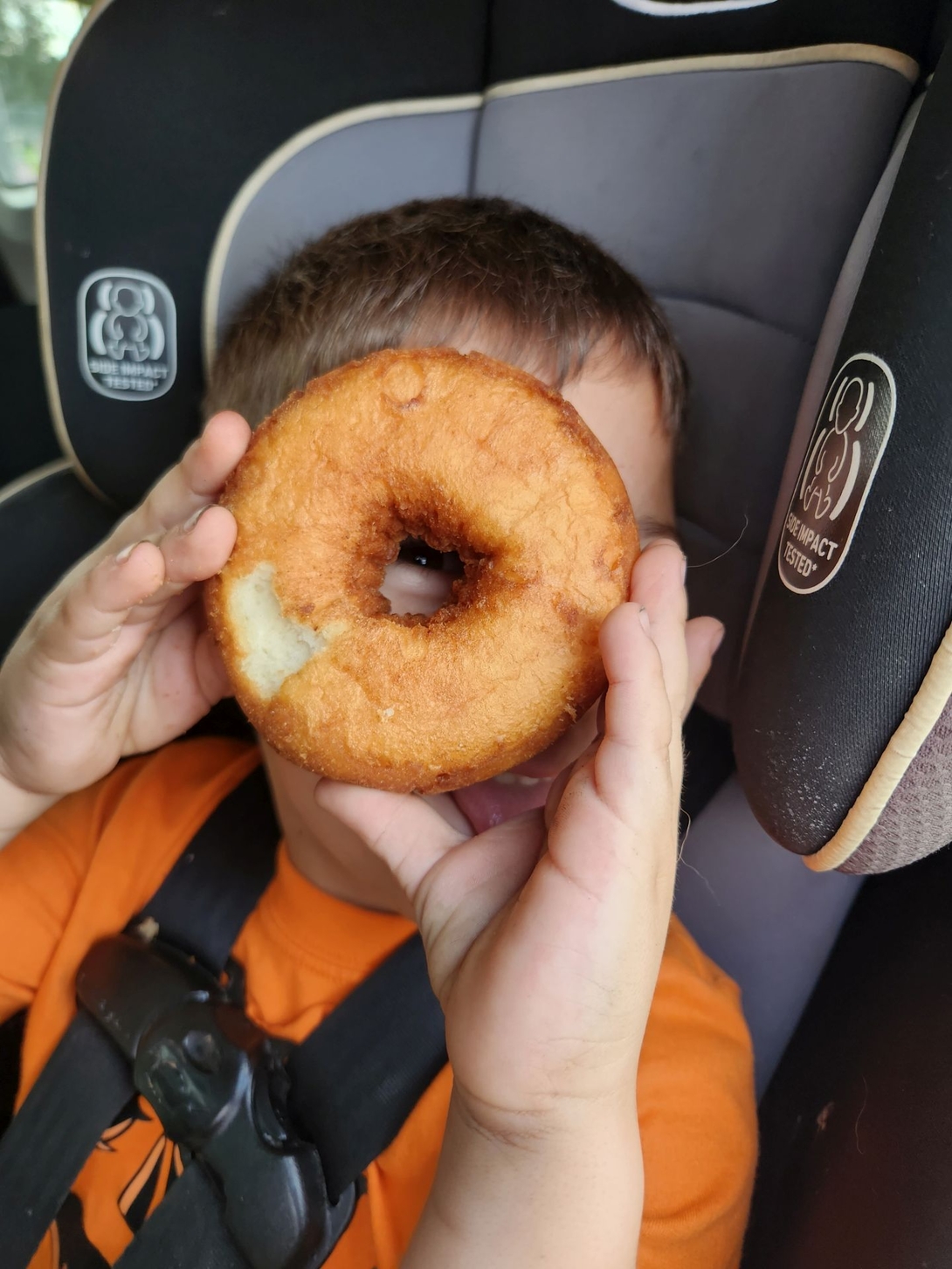plain donut