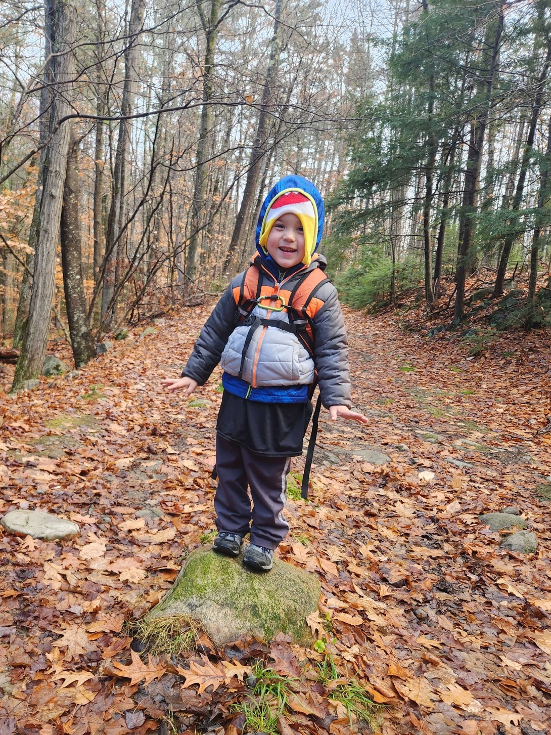 quinn standing on a rock