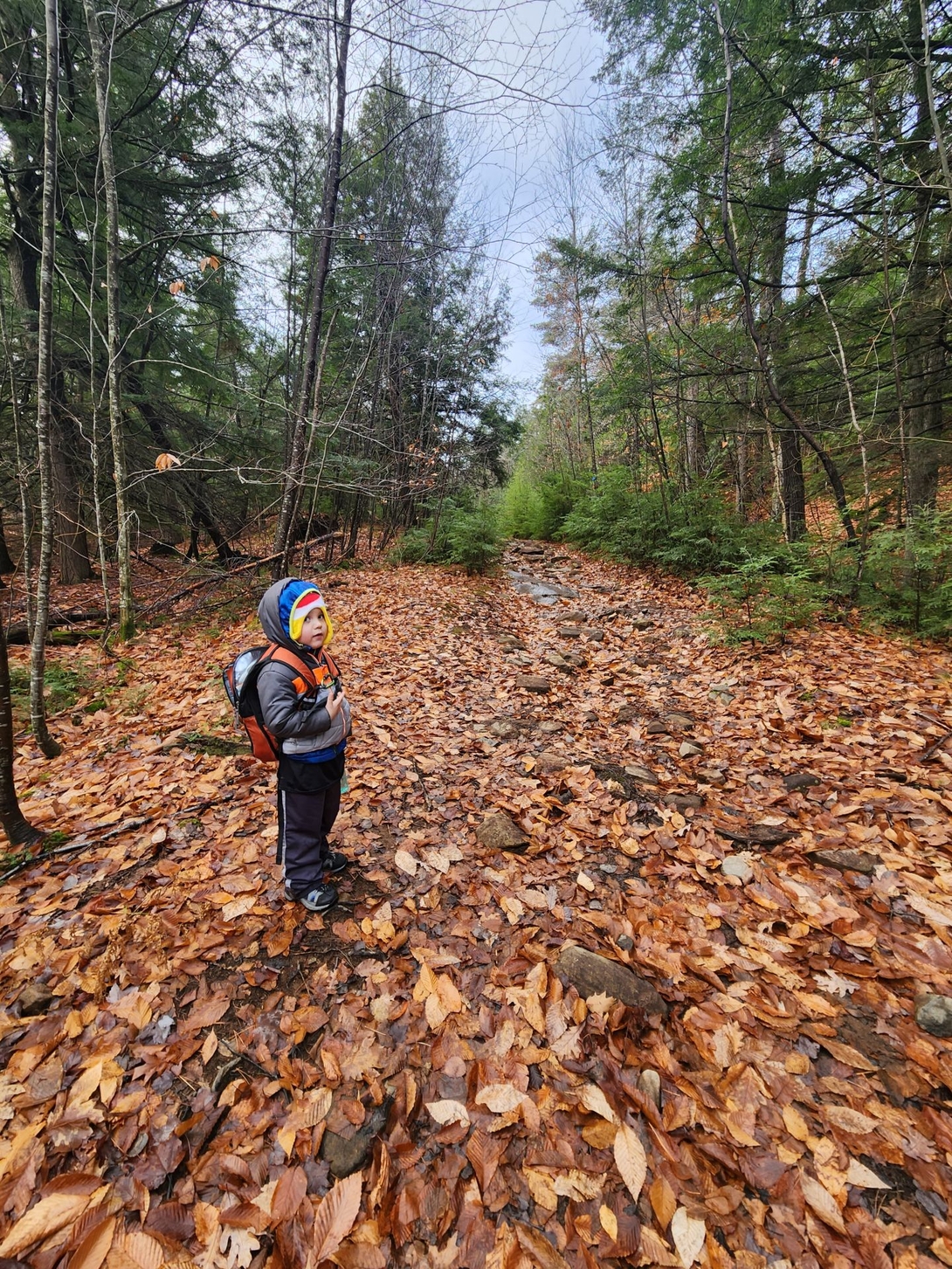 past peak trail