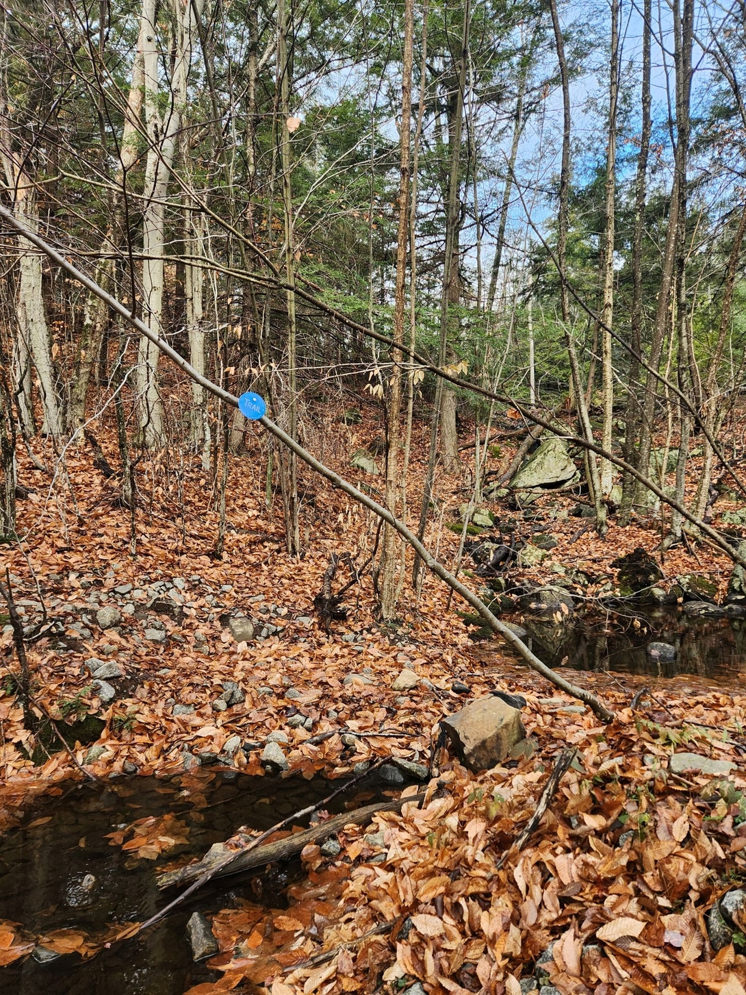 I call this trail marker "Wishful Thinking".