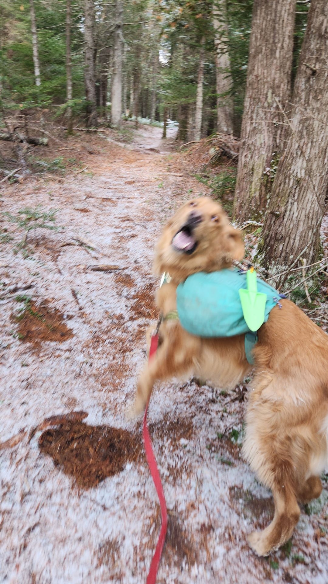 Sunny so excite