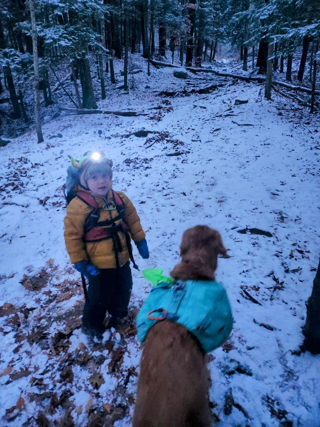 quinn and sunny ready for a climb