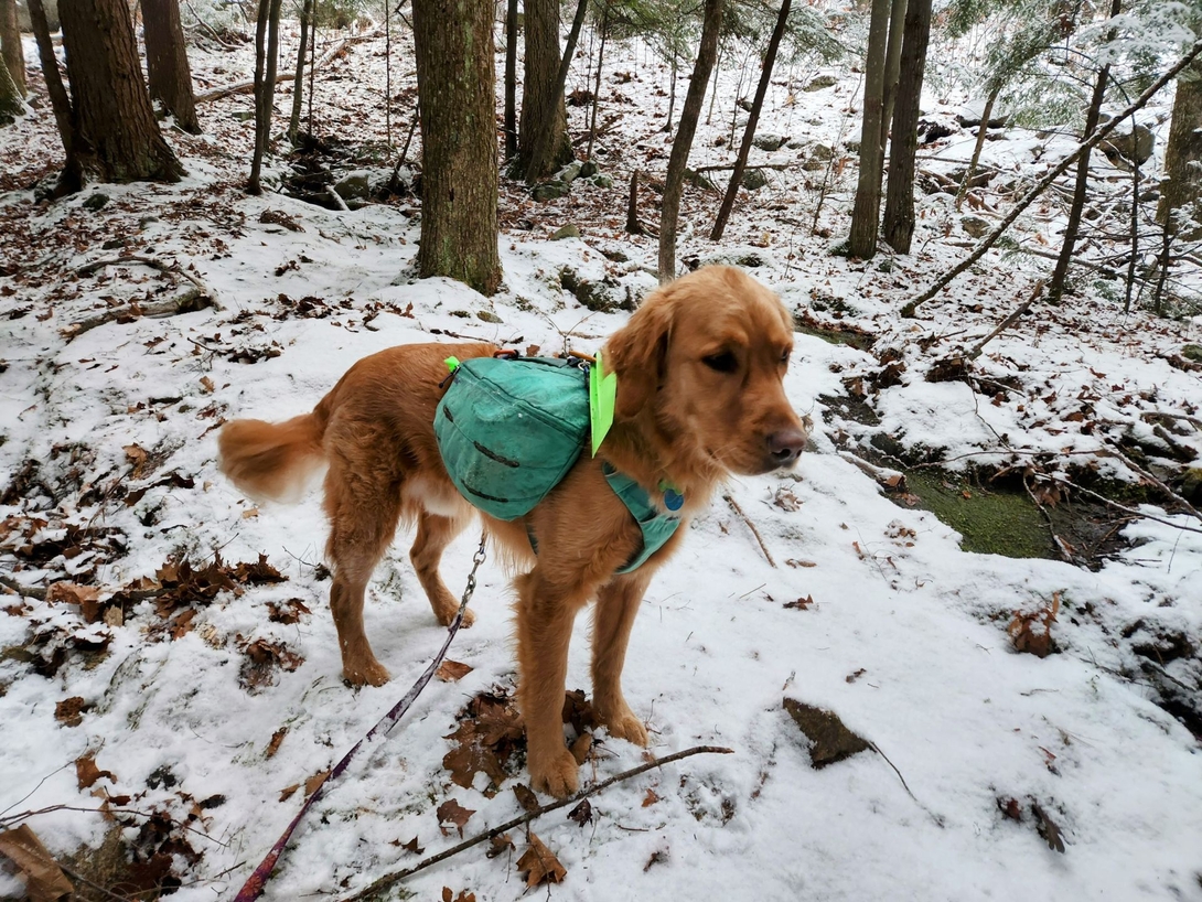 sunny in the snow