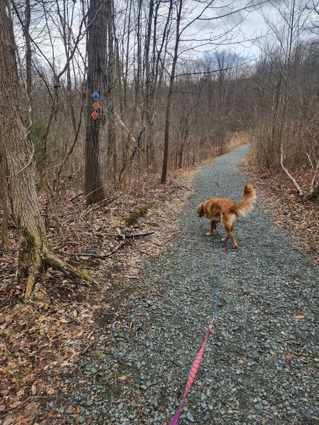 sunny on crush stone trail