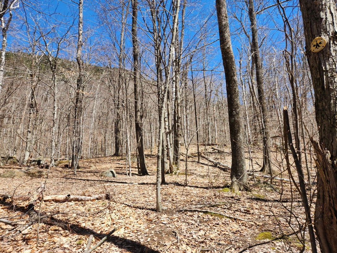 campsite