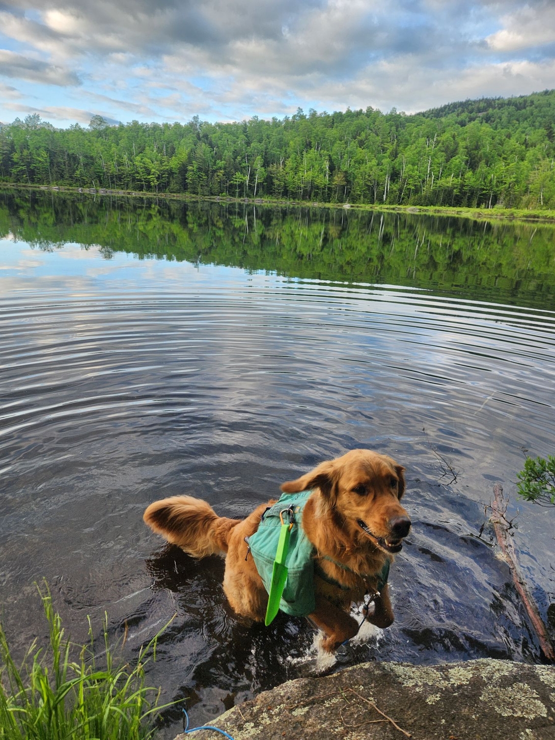 sunny jumping from round pond