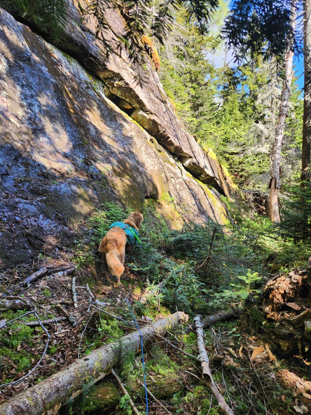 sunny at the rock wall