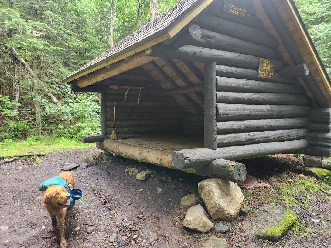 calamity lean-to
