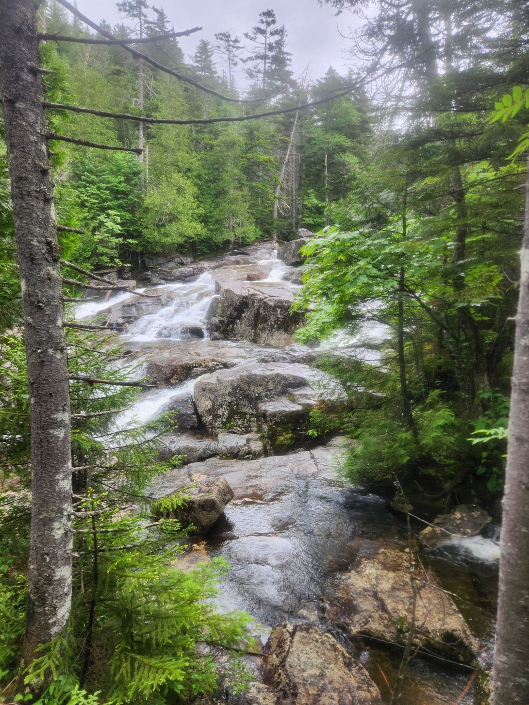 stream