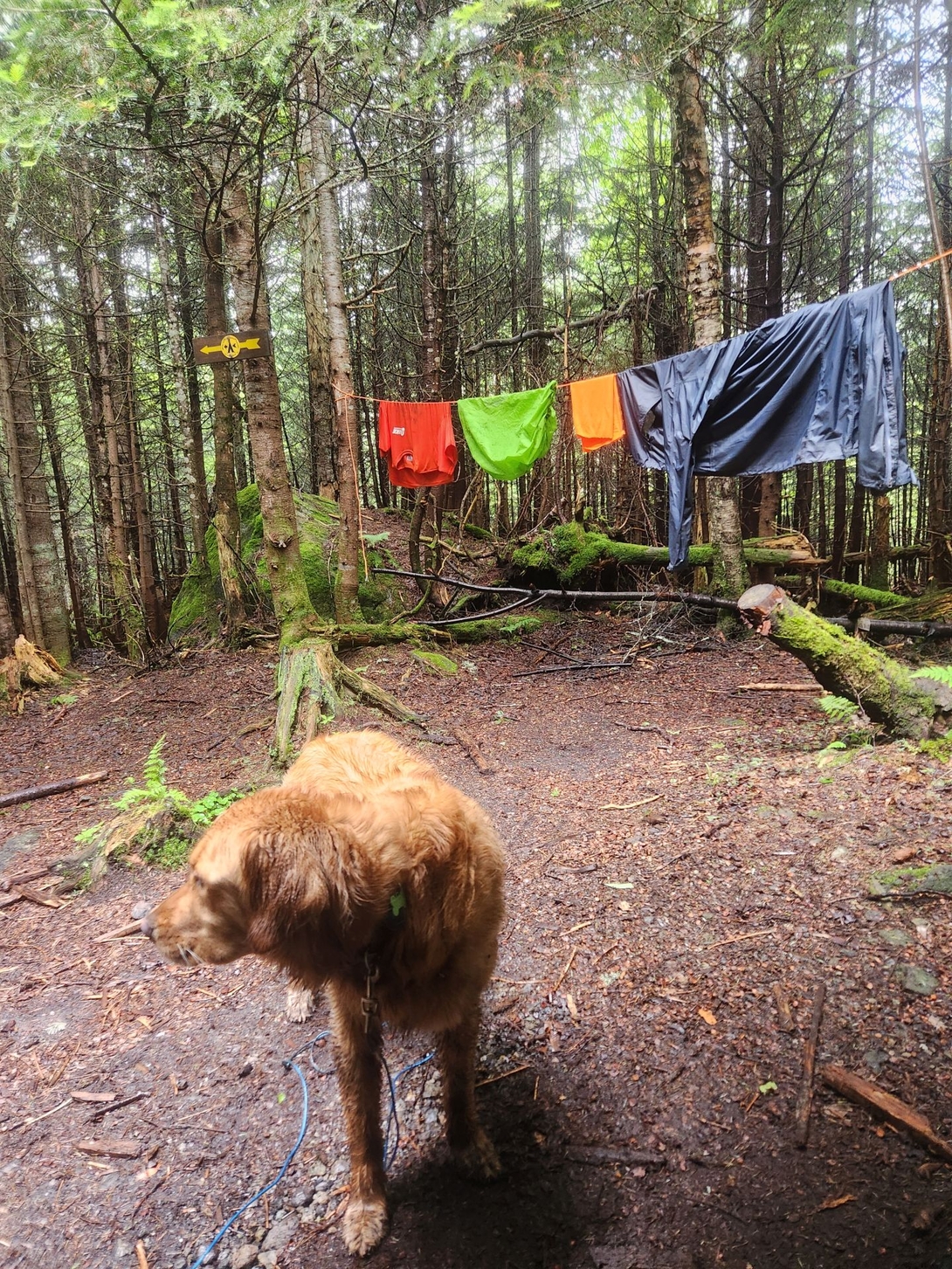 soaked clothes on the line