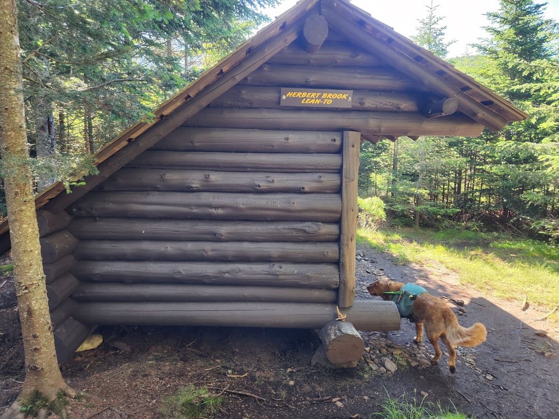 Herbert Brook lean-to