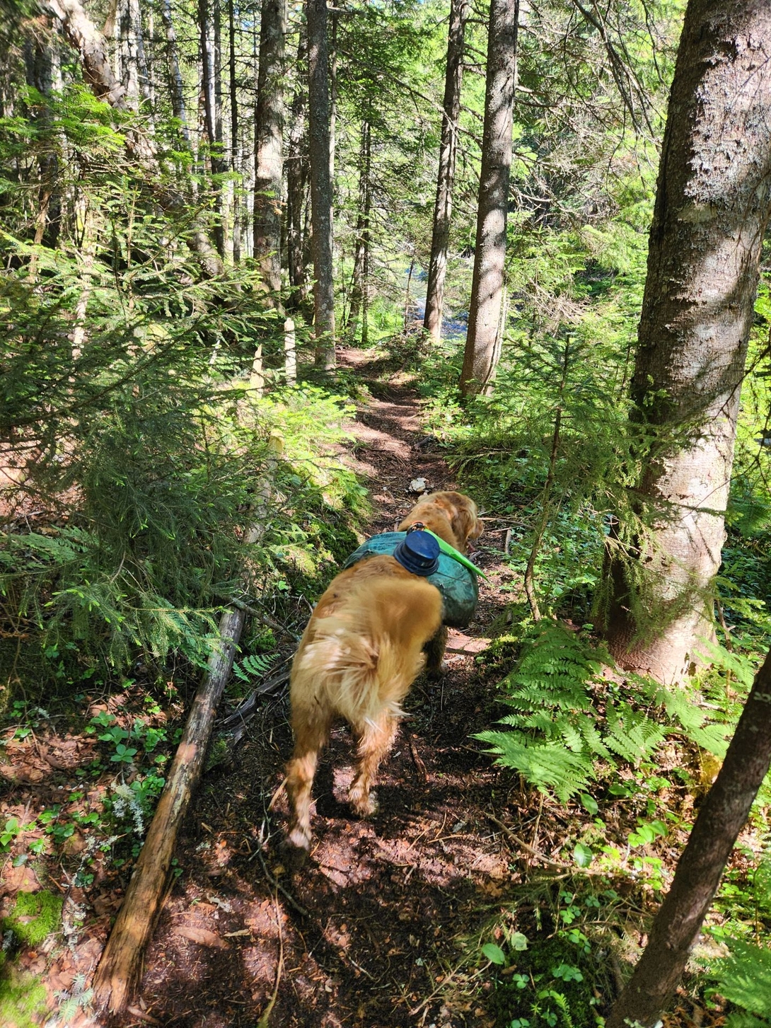 along the trail