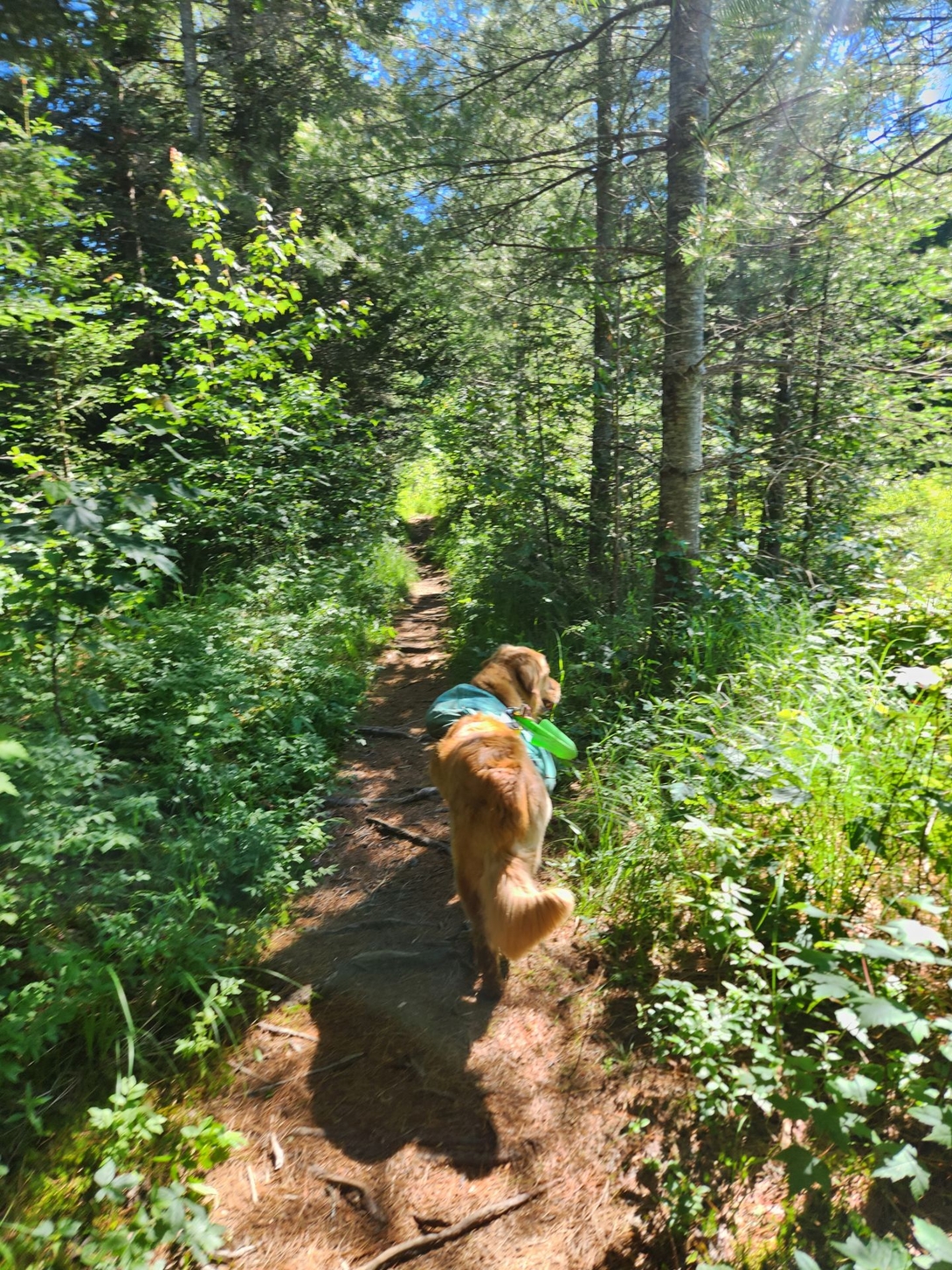 moving fast along calamity trail