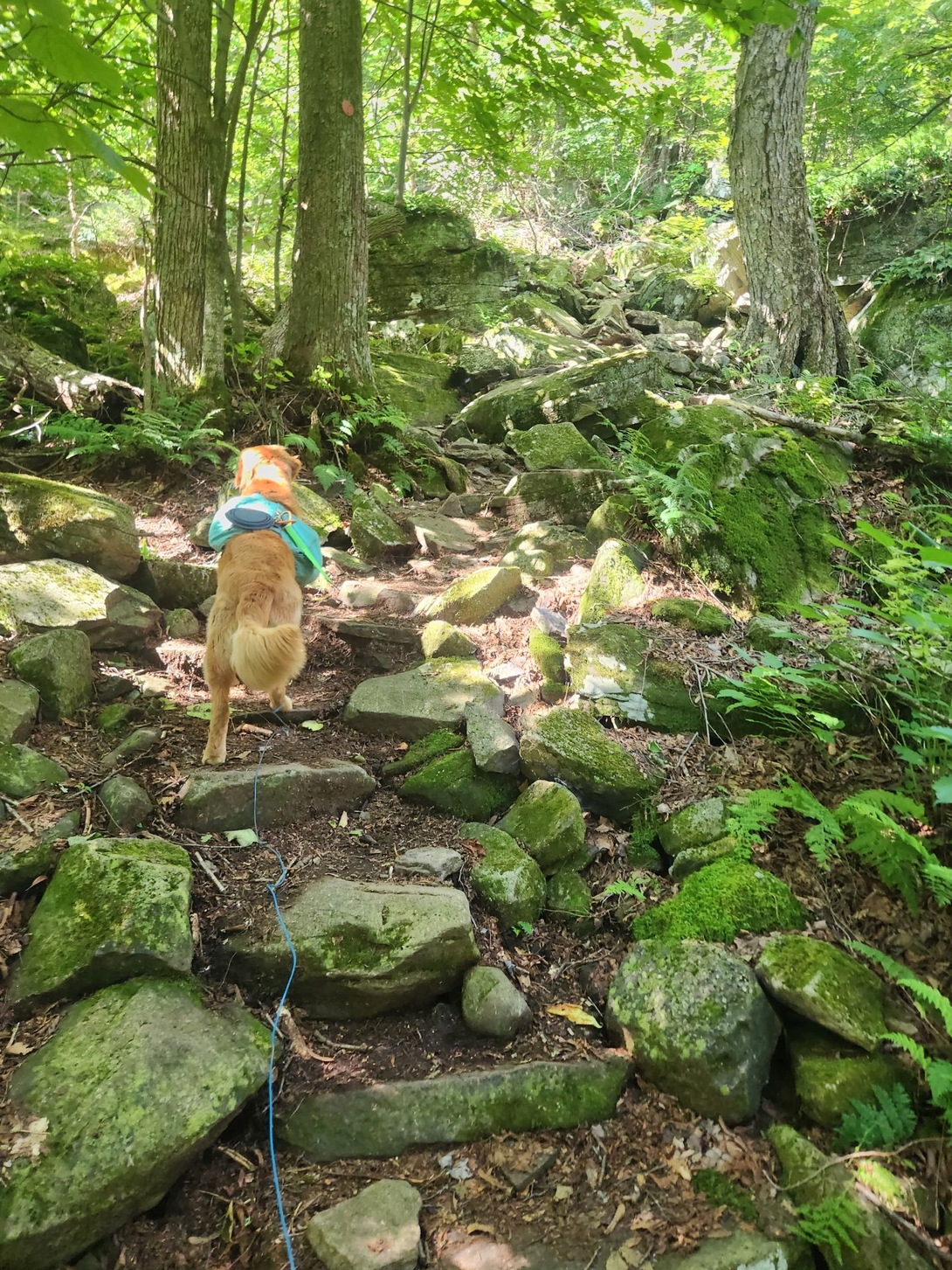 starting the climb