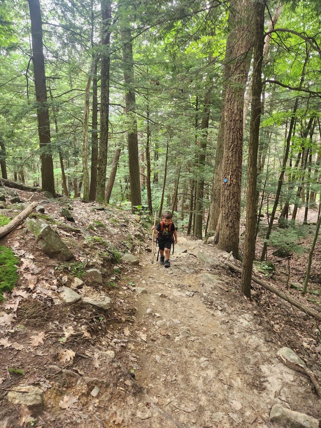 climbing up 