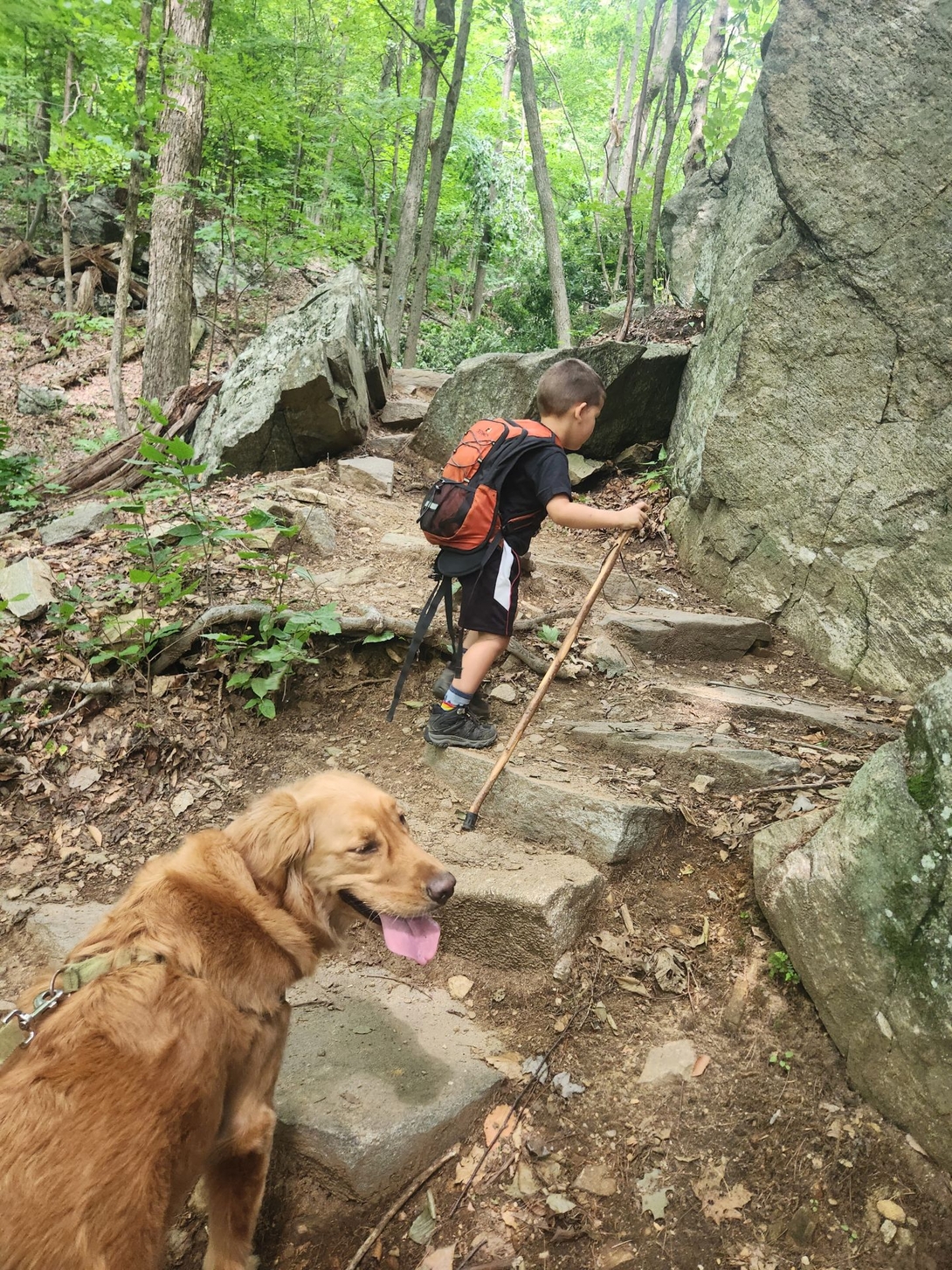 climbing the stair section