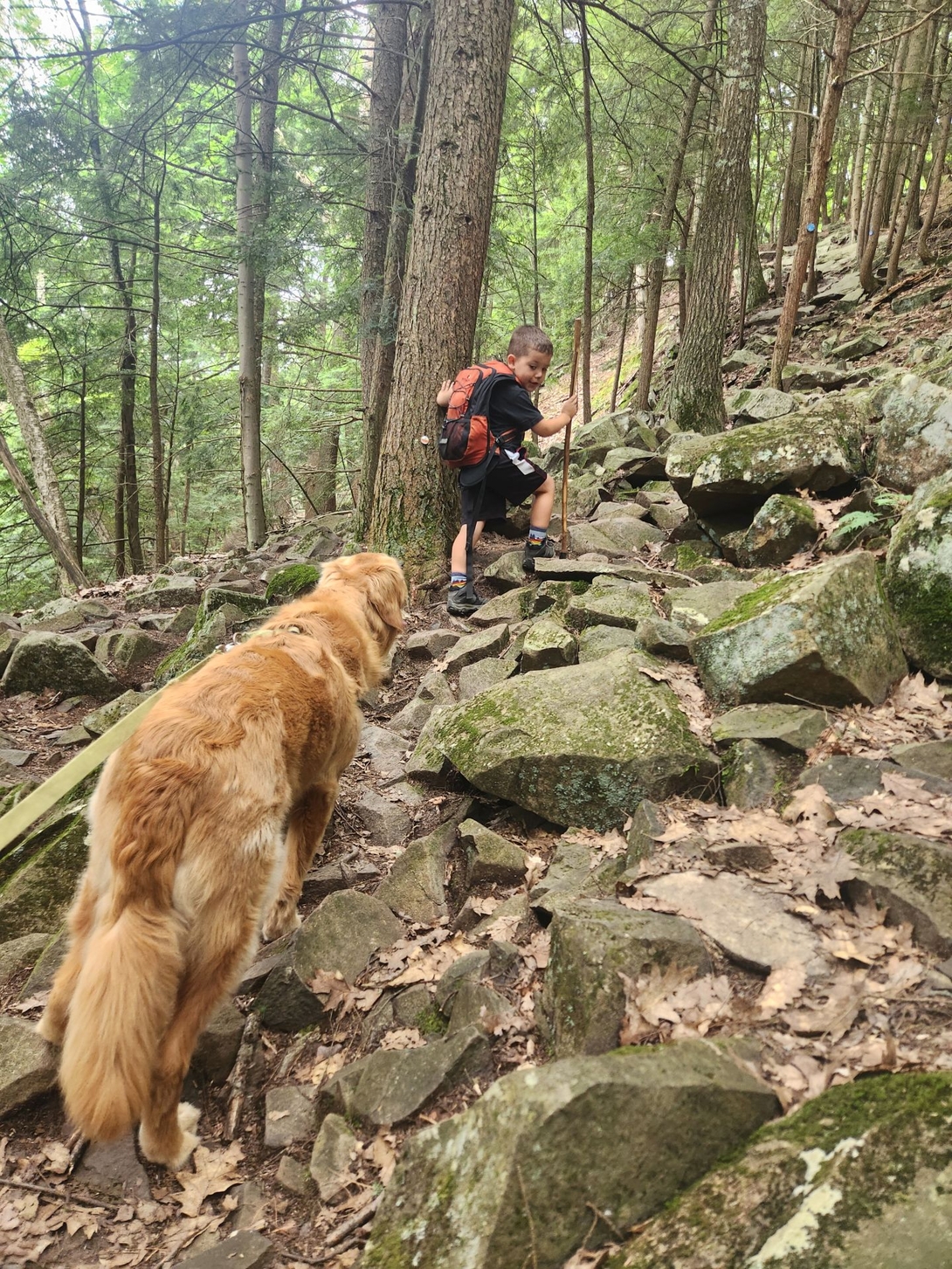 rockpile climb